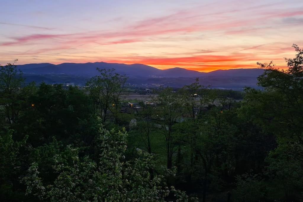 Gite De 70M² Avec Vue Sur Le Massif Du Pilat Clonas-sur-Vareze Bagian luar foto