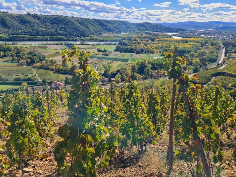 Gite De 70M² Avec Vue Sur Le Massif Du Pilat Clonas-sur-Vareze Bagian luar foto