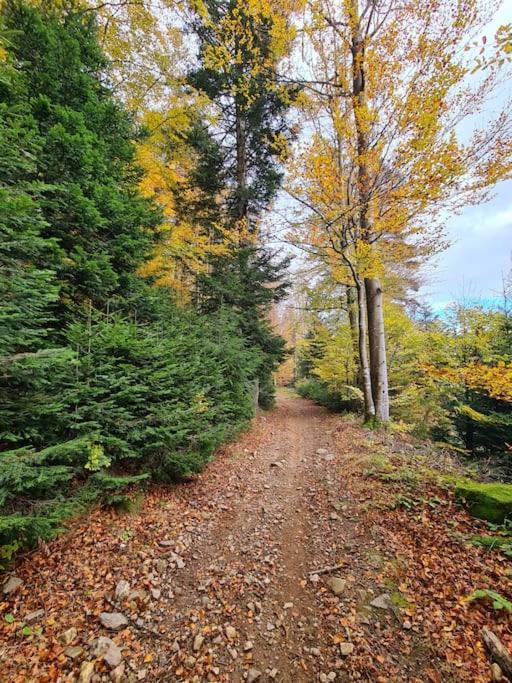 Gite De 70M² Avec Vue Sur Le Massif Du Pilat Clonas-sur-Vareze Bagian luar foto