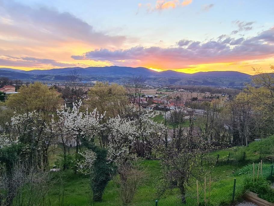 Gite De 70M² Avec Vue Sur Le Massif Du Pilat Clonas-sur-Vareze Bagian luar foto