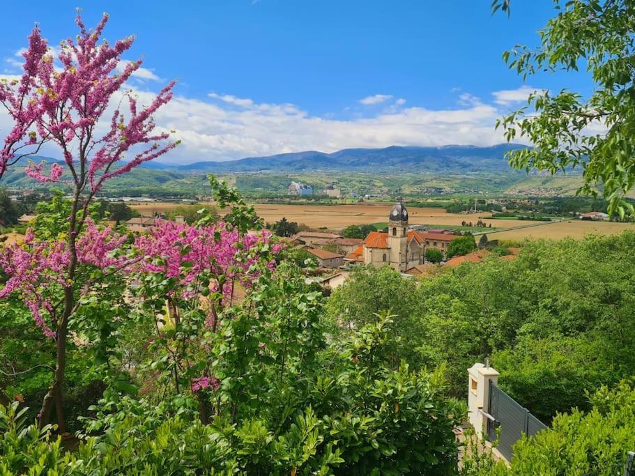 Gite De 70M² Avec Vue Sur Le Massif Du Pilat Clonas-sur-Vareze Bagian luar foto